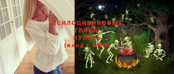 МДПВ Майский