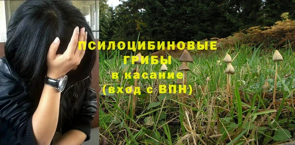 эйфоретик Медвежьегорск