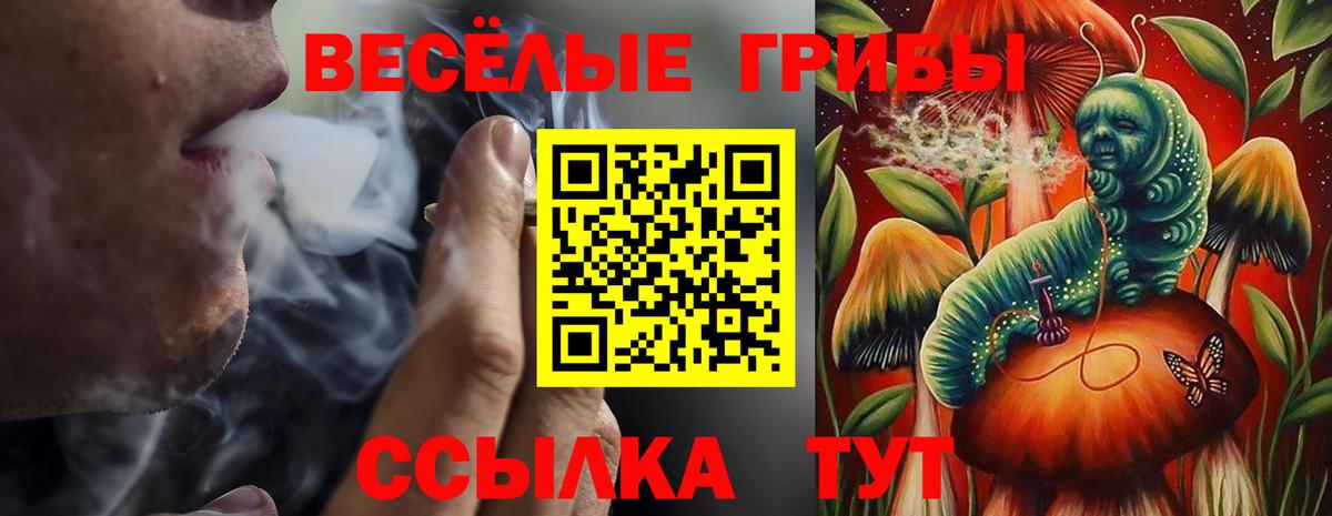 Галлюциногенные грибы Magic Shrooms  продажа наркотиков  Тольятти  Вход с VPN 